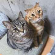 ヒメ日記 2025/07/13 03:13 投稿 りろ 尼妻（あまづま）