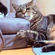 ヒメ日記 2025/07/19 03:26 投稿 りろ 尼妻（あまづま）