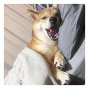 ヒメ日記 2025/07/23 16:46 投稿 りろ 尼妻（あまづま）