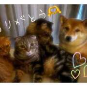 ヒメ日記 2025/07/27 02:46 投稿 りろ 尼妻（あまづま）