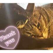 ヒメ日記 2025/07/30 03:44 投稿 りろ 尼妻（あまづま）