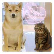 ヒメ日記 2025/07/31 03:44 投稿 りろ 尼妻（あまづま）