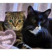 ヒメ日記 2025/08/03 05:03 投稿 りろ 尼妻（あまづま）