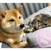 ヒメ日記 2025/08/04 03:40 投稿 りろ 尼妻（あまづま）