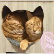 ヒメ日記 2025/08/06 03:12 投稿 りろ 尼妻（あまづま）