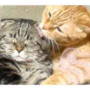 ヒメ日記 2025/08/07 02:55 投稿 りろ 尼妻（あまづま）