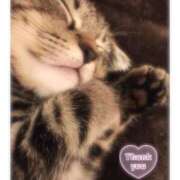 ヒメ日記 2025/08/09 02:19 投稿 りろ 尼妻（あまづま）