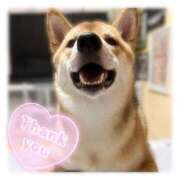 ヒメ日記 2025/08/18 04:03 投稿 りろ 尼妻（あまづま）