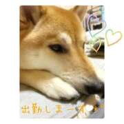 ヒメ日記 2025/09/05 18:27 投稿 りろ 尼妻（あまづま）