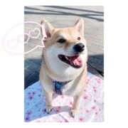 ヒメ日記 2025/09/14 18:20 投稿 りろ 尼妻（あまづま）