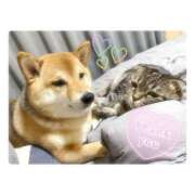 ヒメ日記 2025/09/16 17:04 投稿 りろ 尼妻（あまづま）