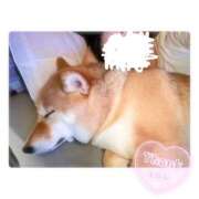 ヒメ日記 2025/09/18 18:36 投稿 りろ 尼妻（あまづま）