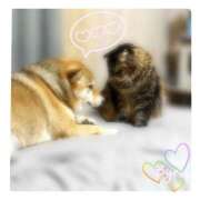 ヒメ日記 2025/10/03 18:24 投稿 りろ 尼妻（あまづま）