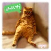 ヒメ日記 2025/10/11 18:26 投稿 りろ 尼妻（あまづま）