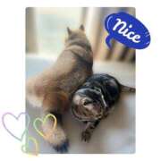 ヒメ日記 2025/10/13 18:25 投稿 りろ 尼妻（あまづま）