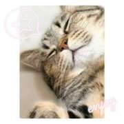 ヒメ日記 2025/10/24 18:25 投稿 りろ 尼妻（あまづま）