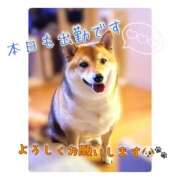 ヒメ日記 2025/10/29 18:29 投稿 りろ 尼妻（あまづま）