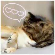 ヒメ日記 2025/11/01 21:28 投稿 りろ 尼妻（あまづま）