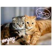 ヒメ日記 2025/11/08 18:25 投稿 りろ 尼妻（あまづま）