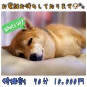 ヒメ日記 2025/11/09 20:45 投稿 りろ 尼妻（あまづま）