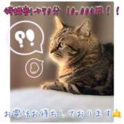 ヒメ日記 2025/11/19 20:20 投稿 りろ 尼妻（あまづま）