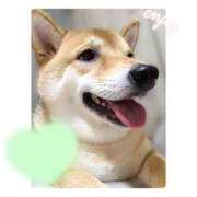 ヒメ日記 2025/11/20 18:27 投稿 りろ 尼妻（あまづま）