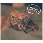 ヒメ日記 2025/11/23 21:14 投稿 りろ 尼妻（あまづま）