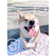 ヒメ日記 2025/11/26 18:26 投稿 りろ 尼妻（あまづま）