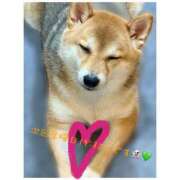 ヒメ日記 2026/01/11 20:18 投稿 りろ 尼妻（あまづま）