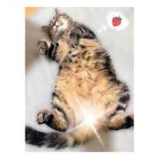 ヒメ日記 2026/01/24 18:22 投稿 りろ 尼妻（あまづま）