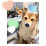 ヒメ日記 2026/01/30 18:28 投稿 りろ 尼妻（あまづま）