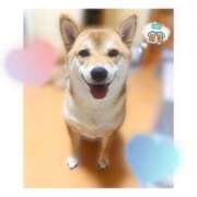 ヒメ日記 2026/02/03 18:27 投稿 りろ 尼妻（あまづま）