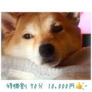 ヒメ日記 2026/02/18 21:46 投稿 りろ 尼妻（あまづま）