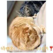 ヒメ日記 2026/02/20 22:22 投稿 りろ 尼妻（あまづま）