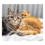 りろ ᝰ✍🏻𖤐 尼妻（あまづま）