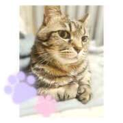 りろ ᝰ✍🏻𖤐 尼妻（あまづま）