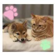 ヒメ日記 2026/03/22 23:05 投稿 りろ 尼妻（あまづま）
