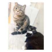 りろ 🫣ﾁﾗｯ 尼妻（あまづま）