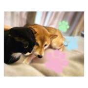 ヒメ日記 2026/05/05 22:55 投稿 りろ 尼妻（あまづま）