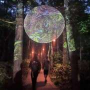 ヒメ日記 2025/07/29 14:23 投稿 川上りょうこ 五反田ヒーローズ（ユメオト）