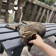 ヒメ日記 2025/08/22 00:28 投稿 川上りょうこ 五反田ヒーローズ（ユメオト）