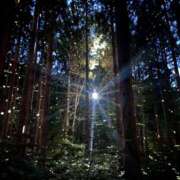 ヒメ日記 2025/08/23 01:00 投稿 川上りょうこ 五反田ヒーローズ（ユメオト）