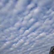 ヒメ日記 2025/07/14 09:31 投稿 さとみ某有名店出身 ラヴァーズ