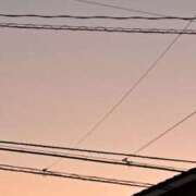 ヒメ日記 2025/08/15 09:56 投稿 さとみ某有名店出身 ラヴァーズ