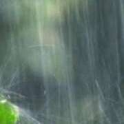 ヒメ日記 2025/09/14 08:54 投稿 さとみ某有名店出身 ラヴァーズ