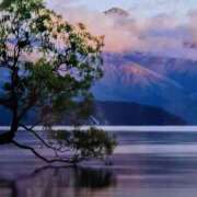 ヒメ日記 2025/11/04 09:47 投稿 さとみ某有名店出身 ラヴァーズ