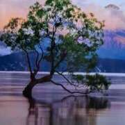 ヒメ日記 2025/11/05 09:34 投稿 さとみ某有名店出身 ラヴァーズ