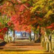 さとみ某有名店出身 お知らせ📢 ラヴァーズ