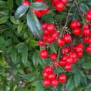 さとみ某有名店出身 4時間ww ラヴァーズ