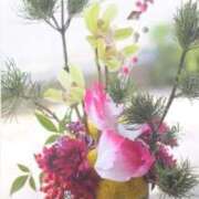 ヒメ日記 2026/01/01 00:17 投稿 さとみ某有名店出身 ラヴァーズ